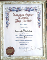 Владислав Борзенко, сертифицированный преподаватель йоги Айенгара